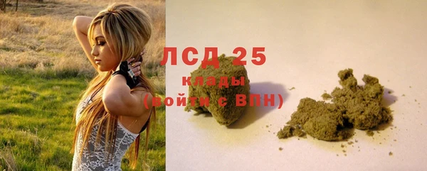 сатива Армянск