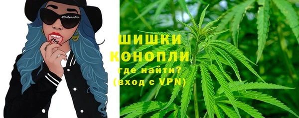 сатива Армянск