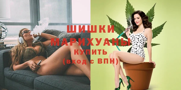 a pvp Няндома