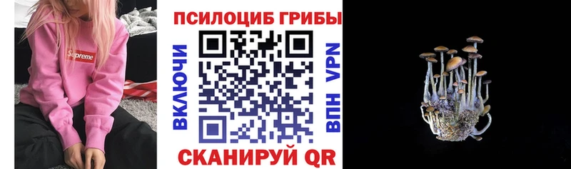 Галлюциногенные грибы прущие грибы  Сатка 